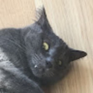 Meet your Posher, Robin34we